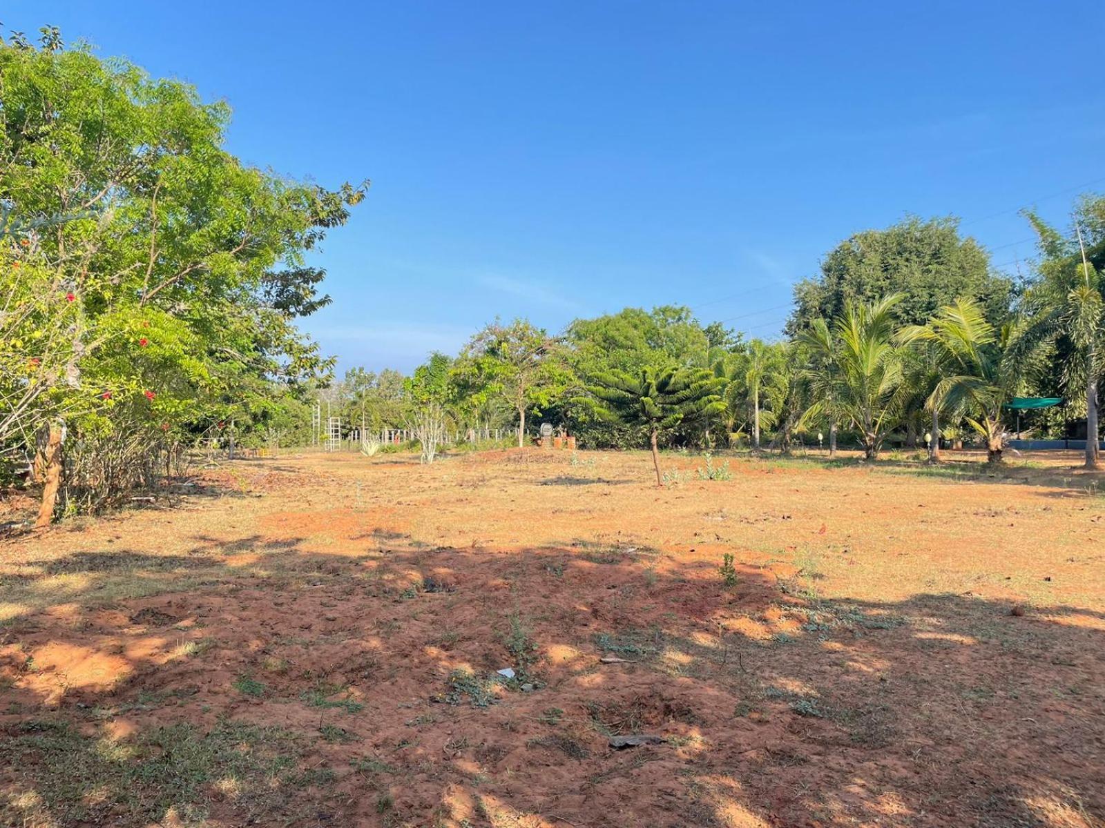 Paradise Quest Nature Farmhouse Βίλα Kālapettai Εξωτερικό φωτογραφία