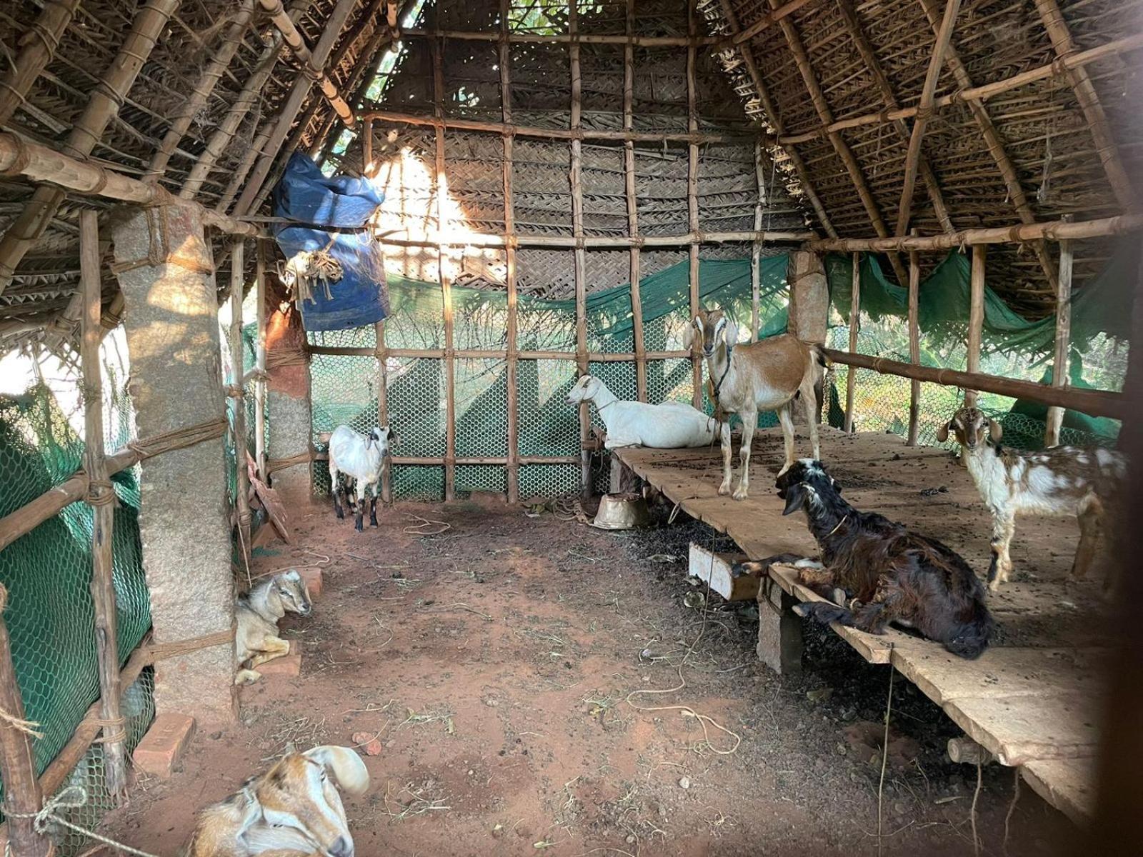 Paradise Quest Nature Farmhouse Βίλα Kālapettai Εξωτερικό φωτογραφία